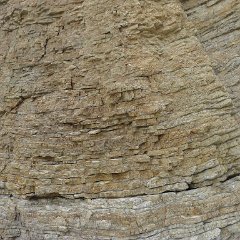 GirlsWildCat 057 : GirlsWildCat